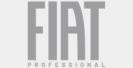 fiat professional